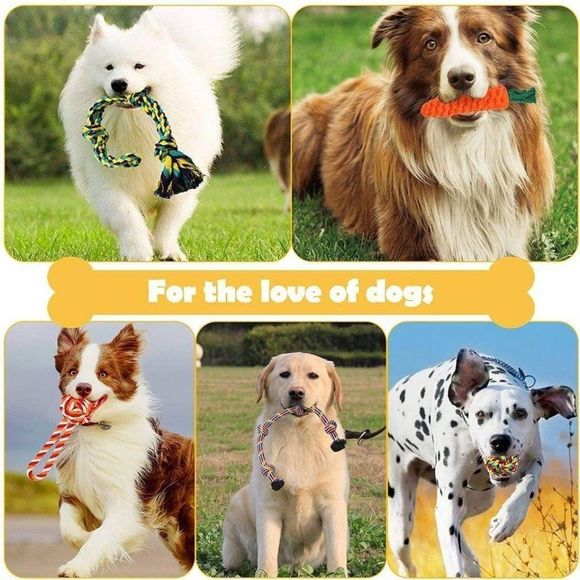 Dog Chew Toys for Small to Medium Aggressive Chew - Picture 7 of 10